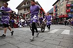Gara delle Bighe 2011-7793